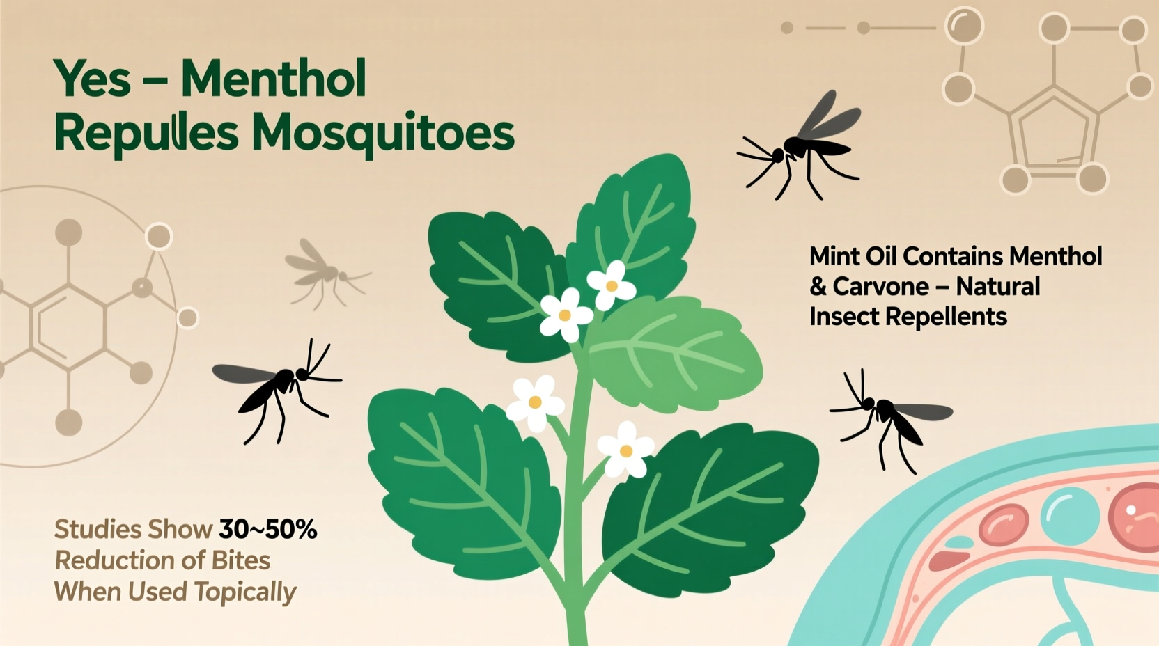 does mint deter mosquitoes