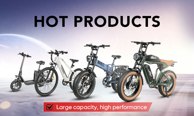 guangzhou sameway electric bicycle co ltd Company Overview