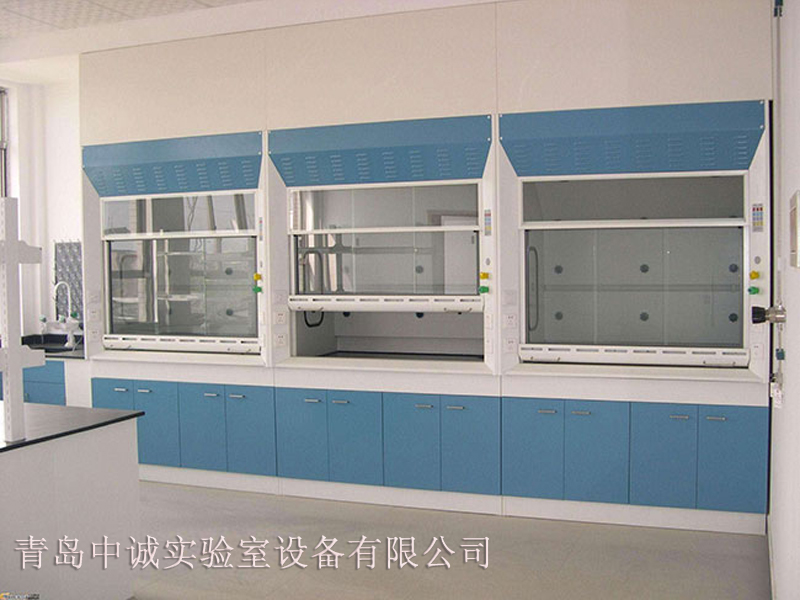Oem Lab Ventilation Hood Chemistry ISO14001 Chemical Vent Hood