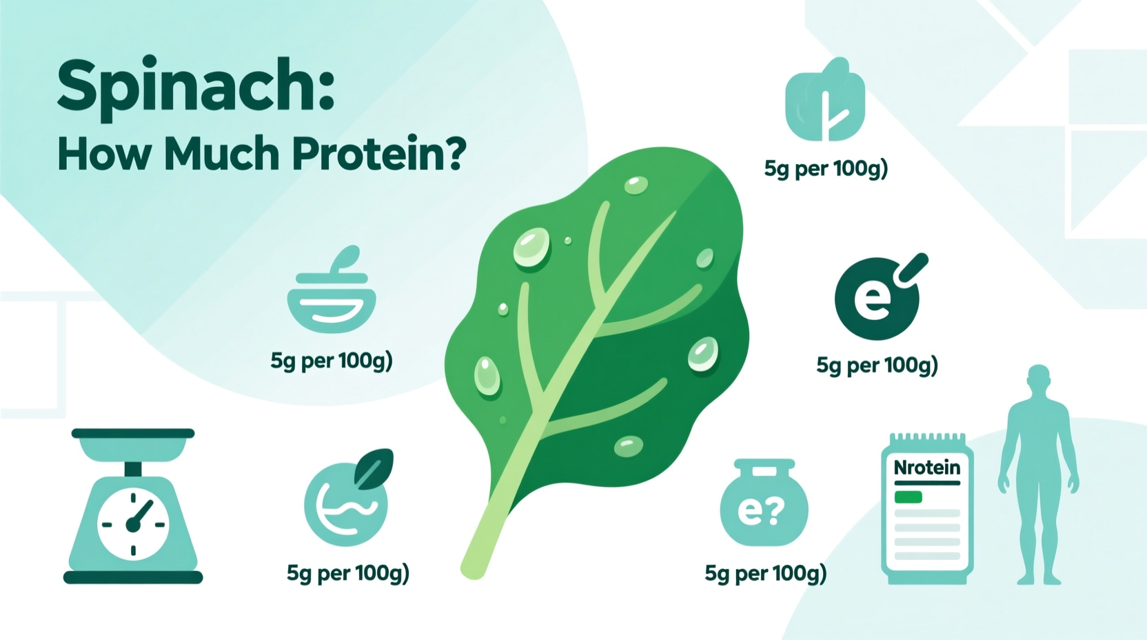 Spinach Protein Content: Facts Per Serving Revealed