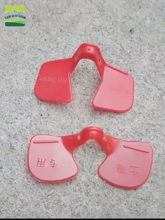 Lunettes Anti-Picorage Happyyami | Pour Poulets Et Faisans | Mirettes Sans Pointe | Lot De 12
