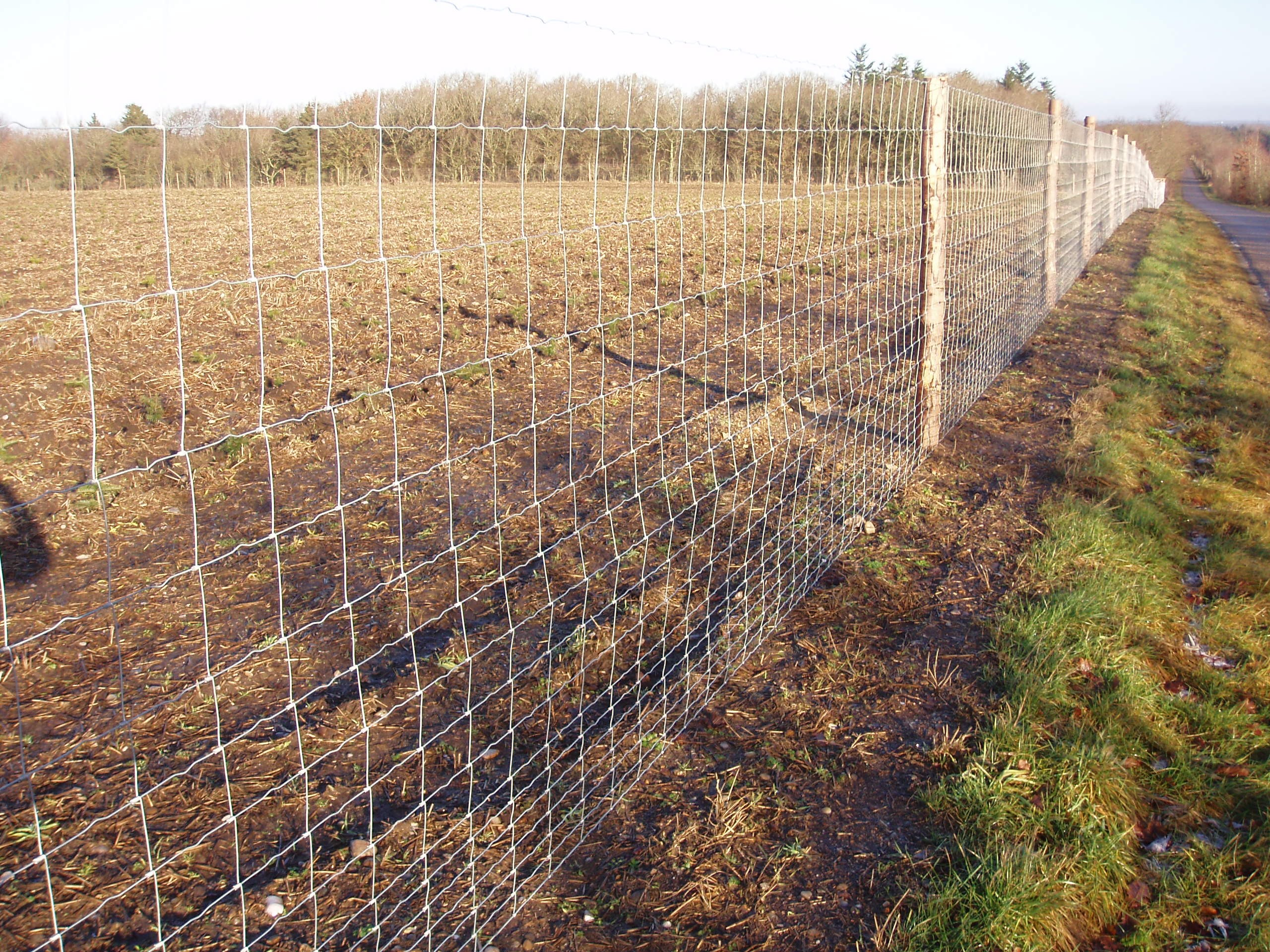 последние новости компании о На заводе поставщики дешевой проволочной сетки рулон оленей поле фермы забор  0