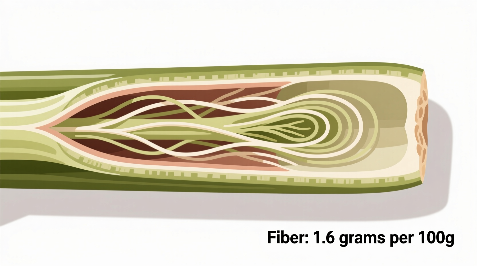 Celery Fiber Content: 0.6g Per Stalk Revealed