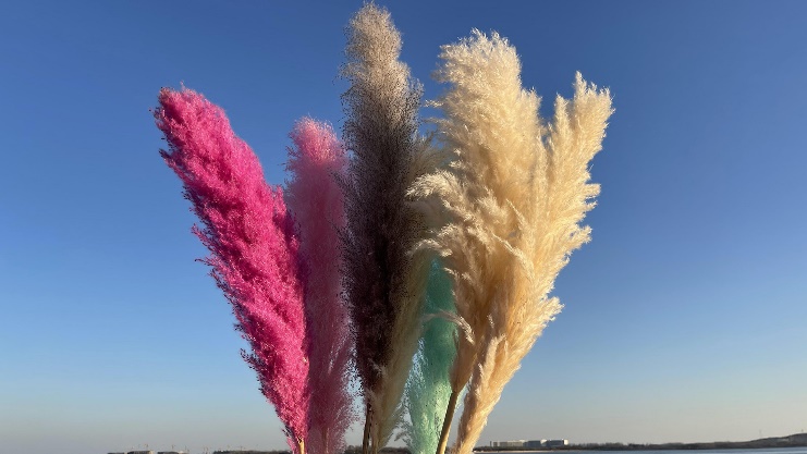 product-1-1 product-1-1