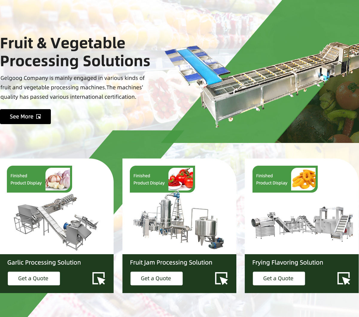 Henan Gelgoog Machinery Co., Ltd. - Snack Frying Machine, Fruit ...