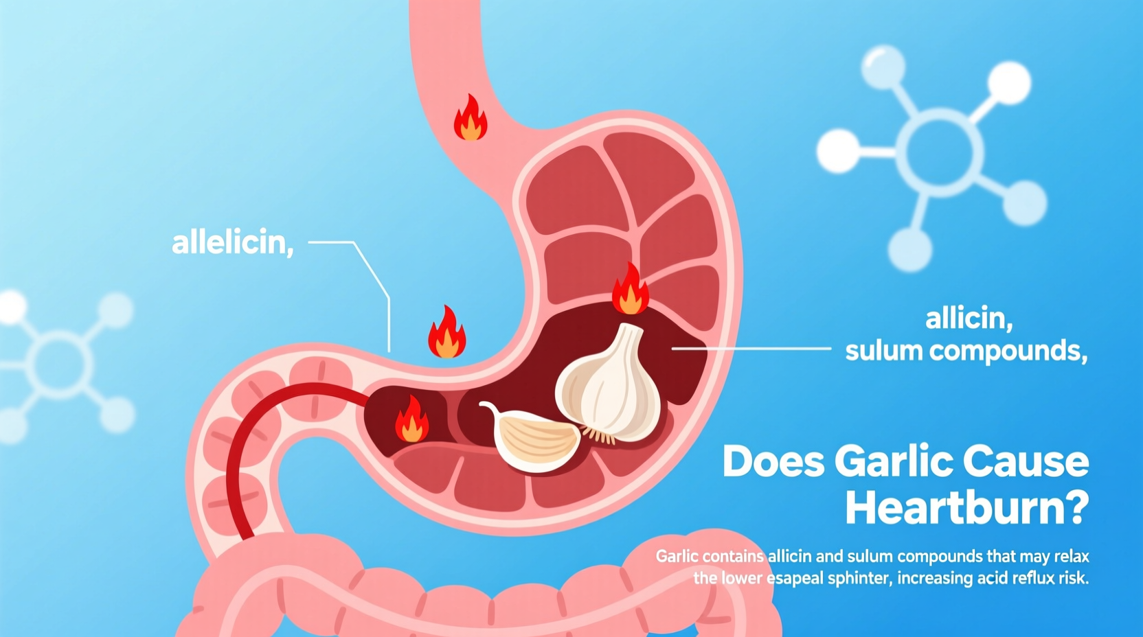 Does Garlic Cause Heartburn? Science-Backed Facts & Solutions