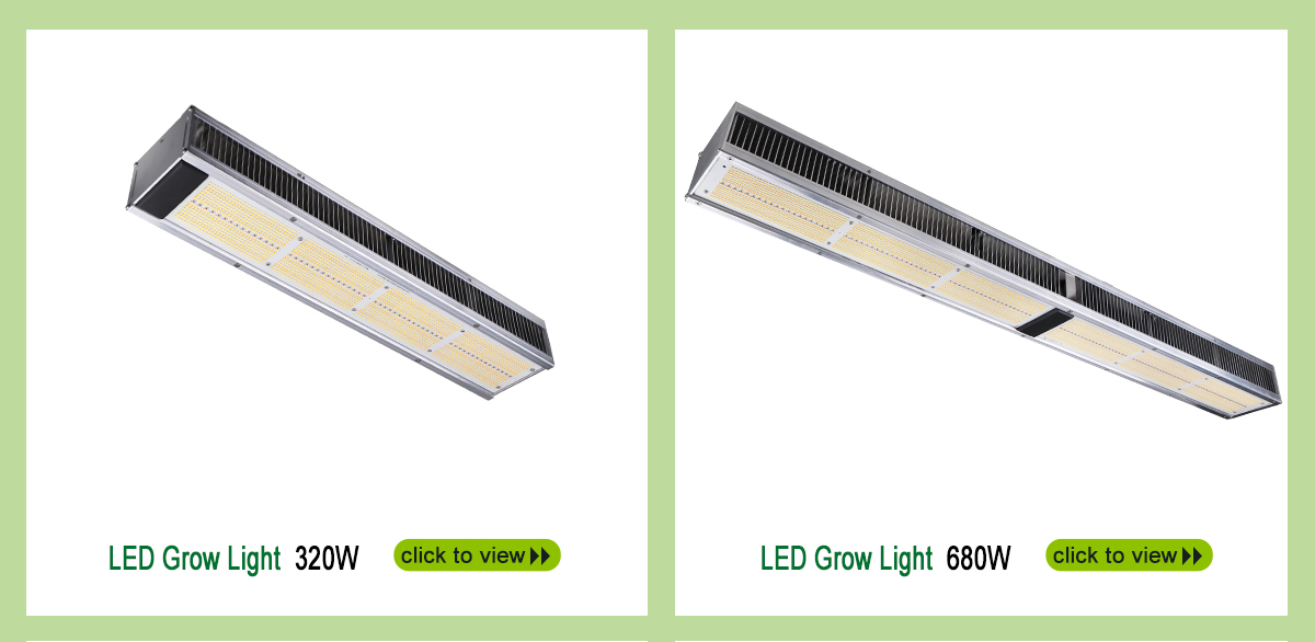 Company Overview Shenzhen Snc Opto Electronic Co., Ltd.