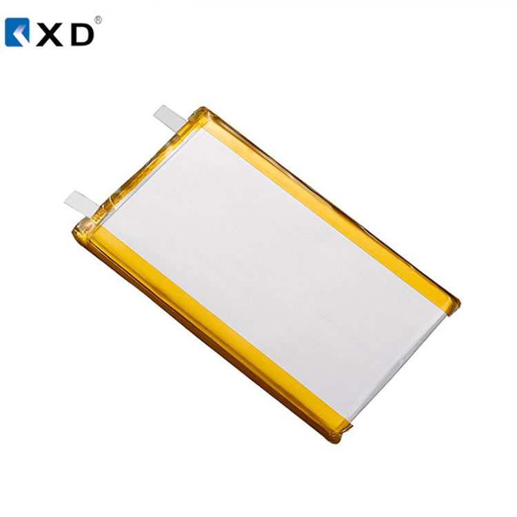 3.7v 10000mah lipo 2.jpg