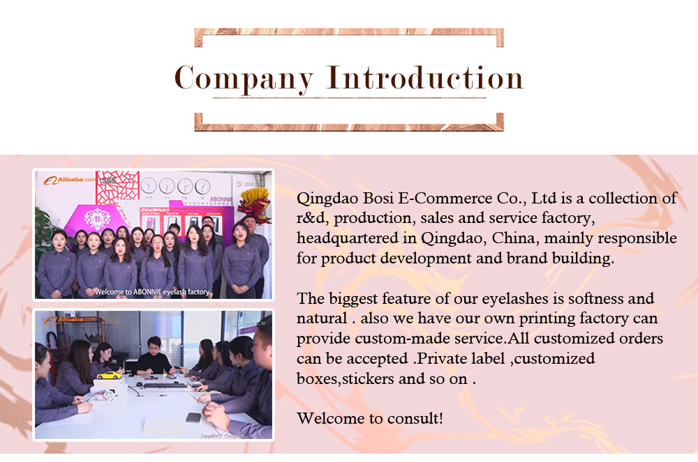 Eyelash Extension Loose Premade Fans Sharp Long Stem Promade Loose Volume 3D 5D 6D 10D 14D Loose Fans
