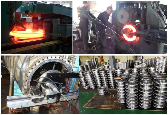Custom DIN2576 Pn40 St37.2 Pl Ss Flanges ISO Standard Super Duplex Stainless Steel Flange Alloy Metal Flange
