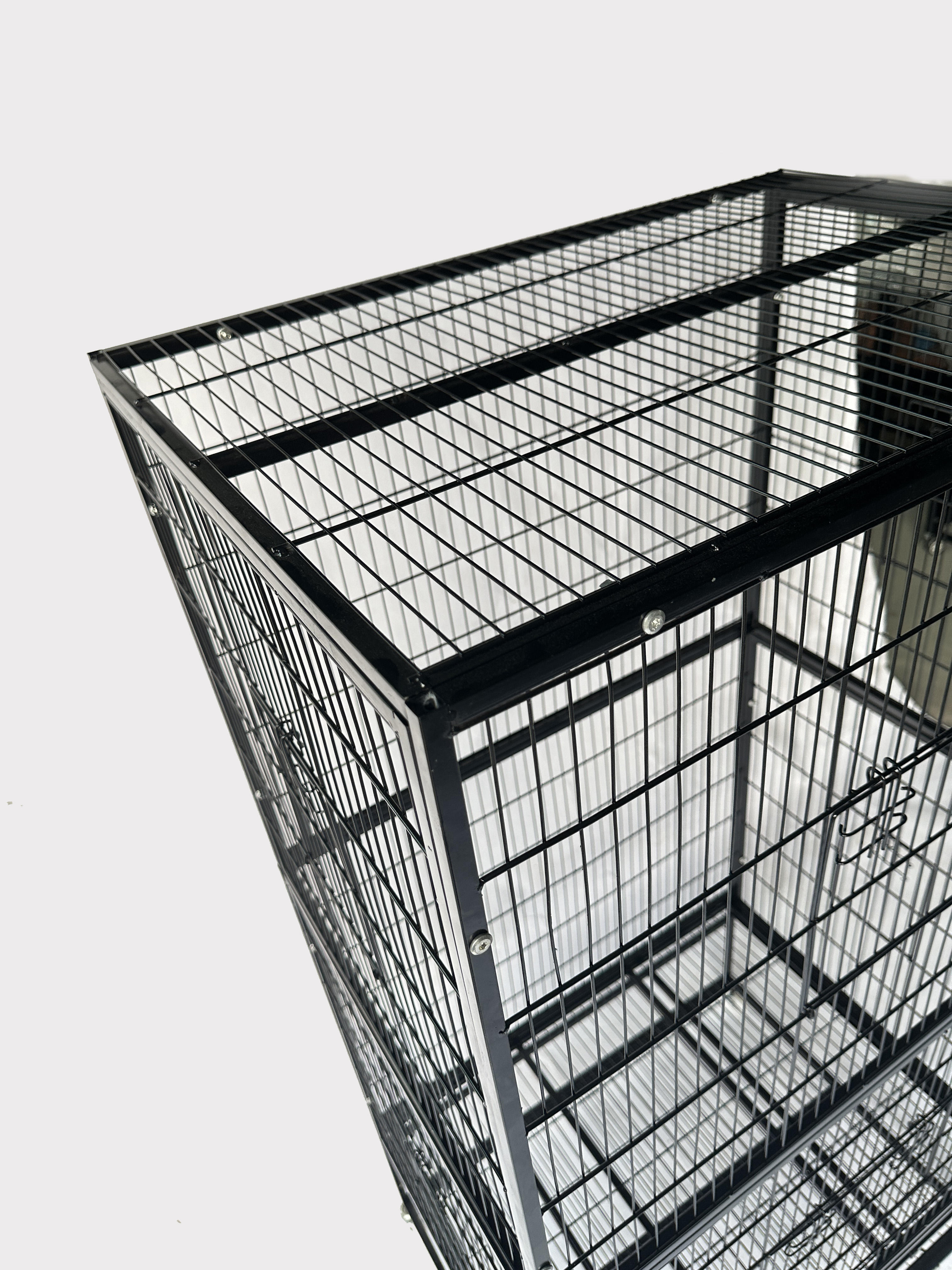 Birds That Nest on the Ground: Species and Habits