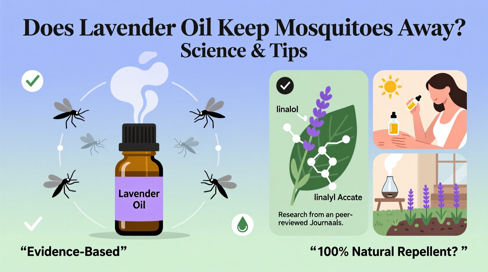 Does Lavender Oil Keep Mosquitoes Away? Science & Tips