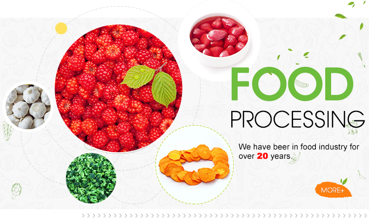 frozen food supplier