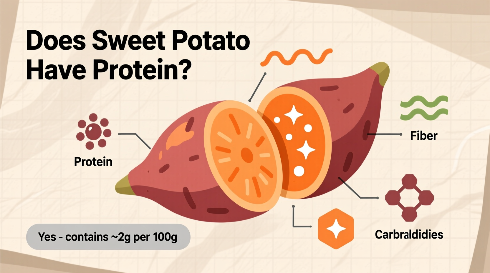 does sweet potato have protein
