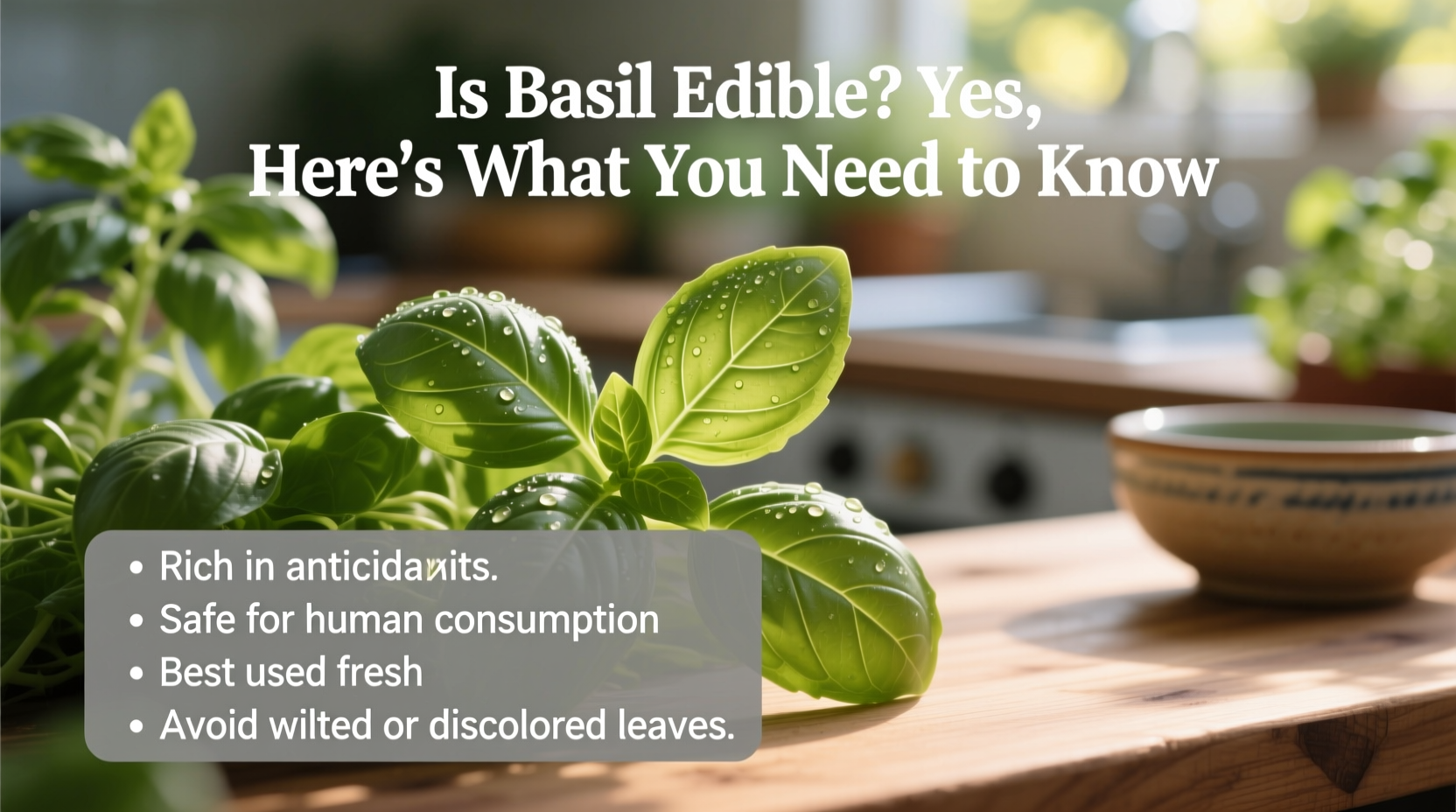 Is Basil Edible? Yes, Here's What You Need to Know