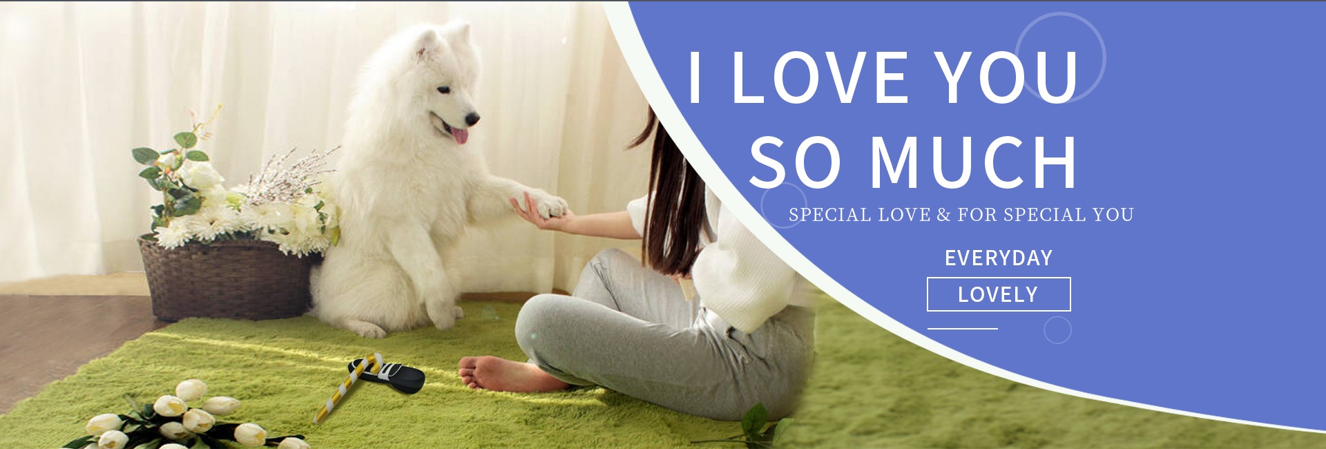 Company Overview Suzhou Tian Rrui Pets Products Co., Ltd.