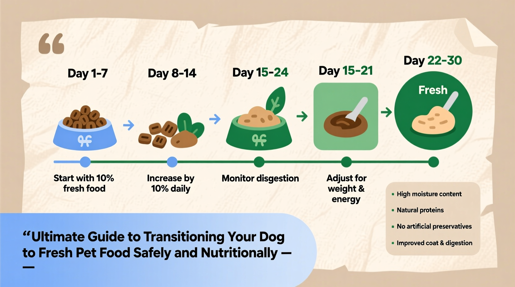 ultimate guide to transitioning your dog to fresh pet food safely and nutritionally