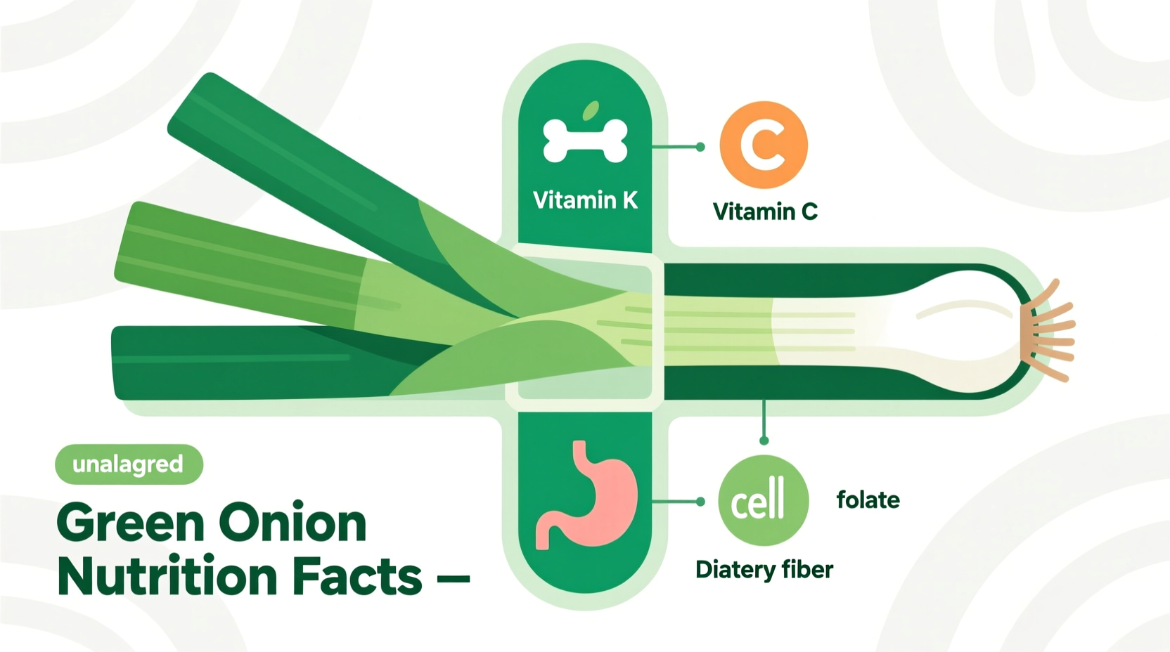 green onion nutrition