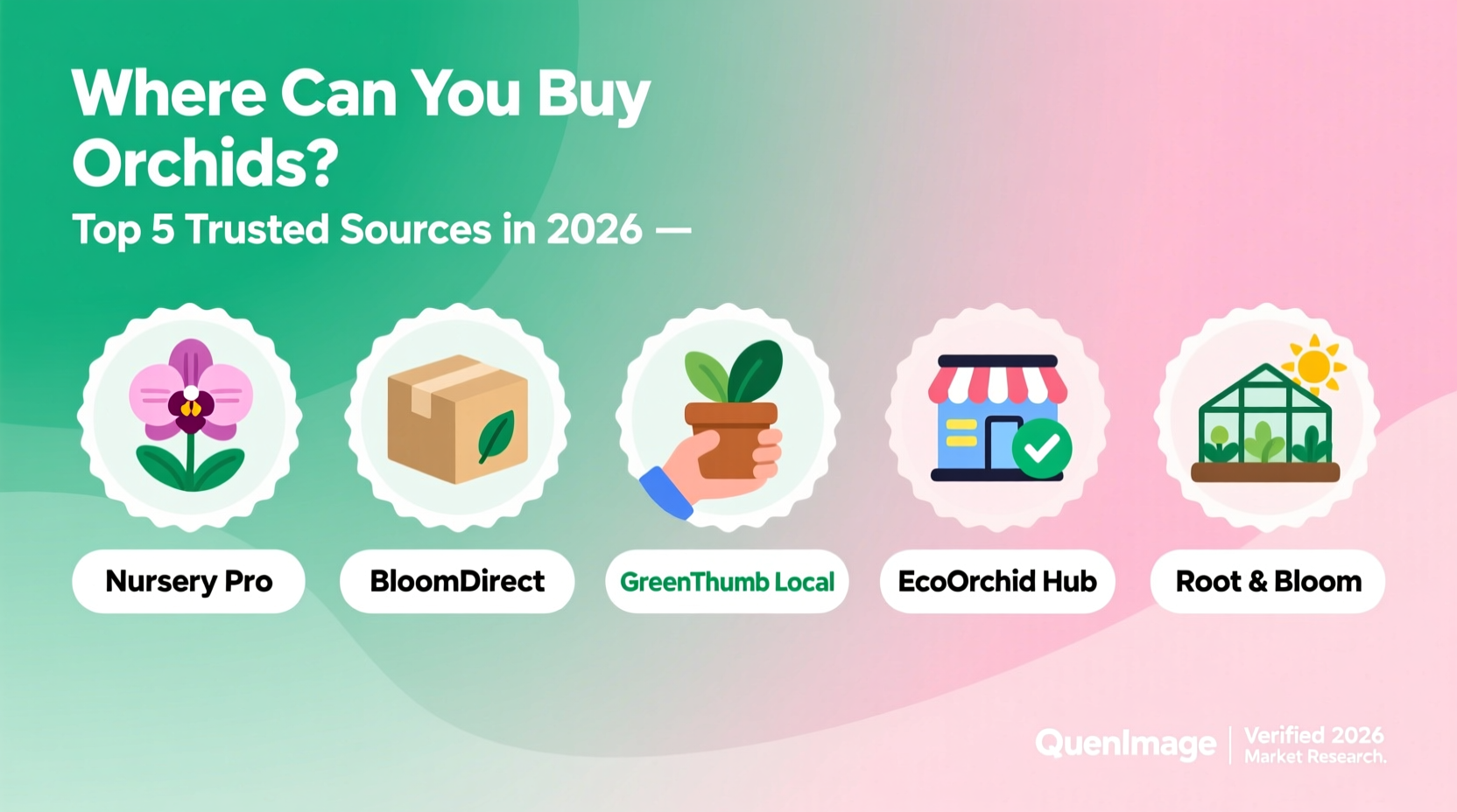 Where Can You Buy Orchids? Top 5 Trusted Sources in 2026