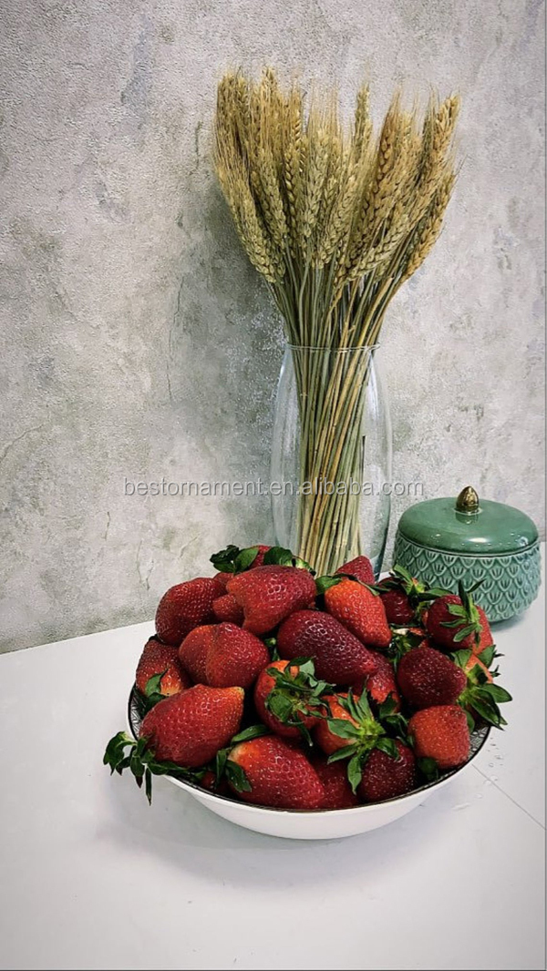 100Pcs/lot Real Natural Wheat Ear Flower Bouquets Wedding Bouquet Dried Flowers Decor