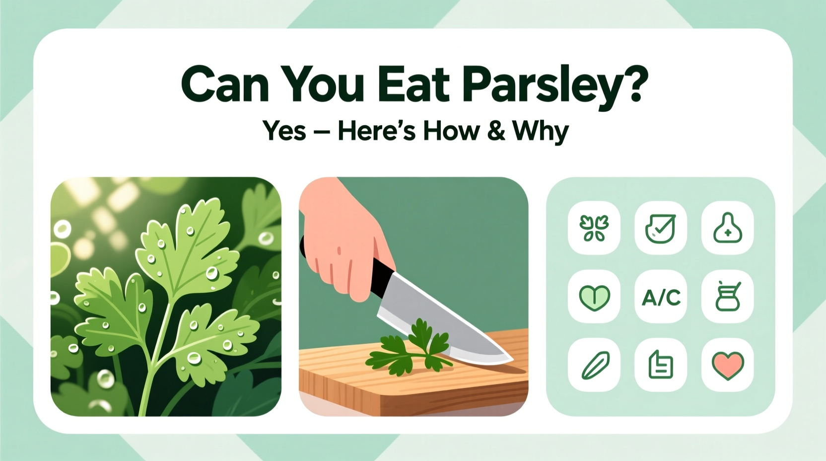 Can You Eat Parsley? Yes — Here's How & Why