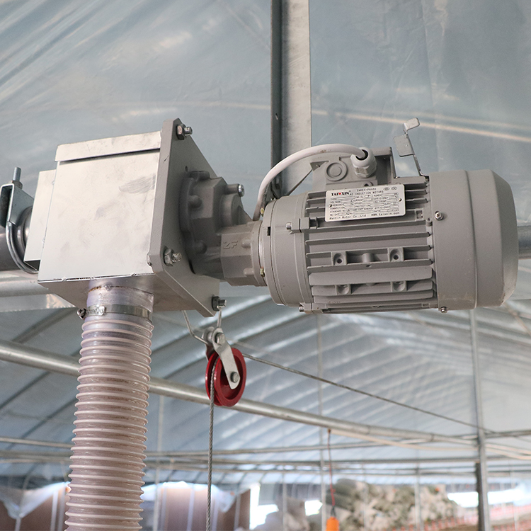 750w Poultry Farm Equipment 380v Chicken Drinking pan feeding system
