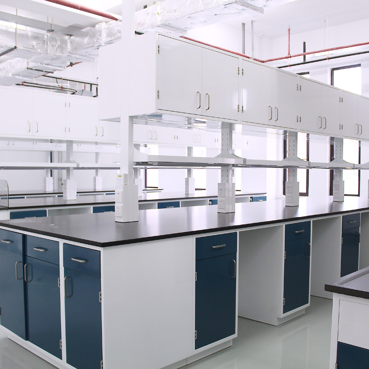 Biologic Laboratory Work Benches Adjustable Lab Bench Science Lab Work Bench Table