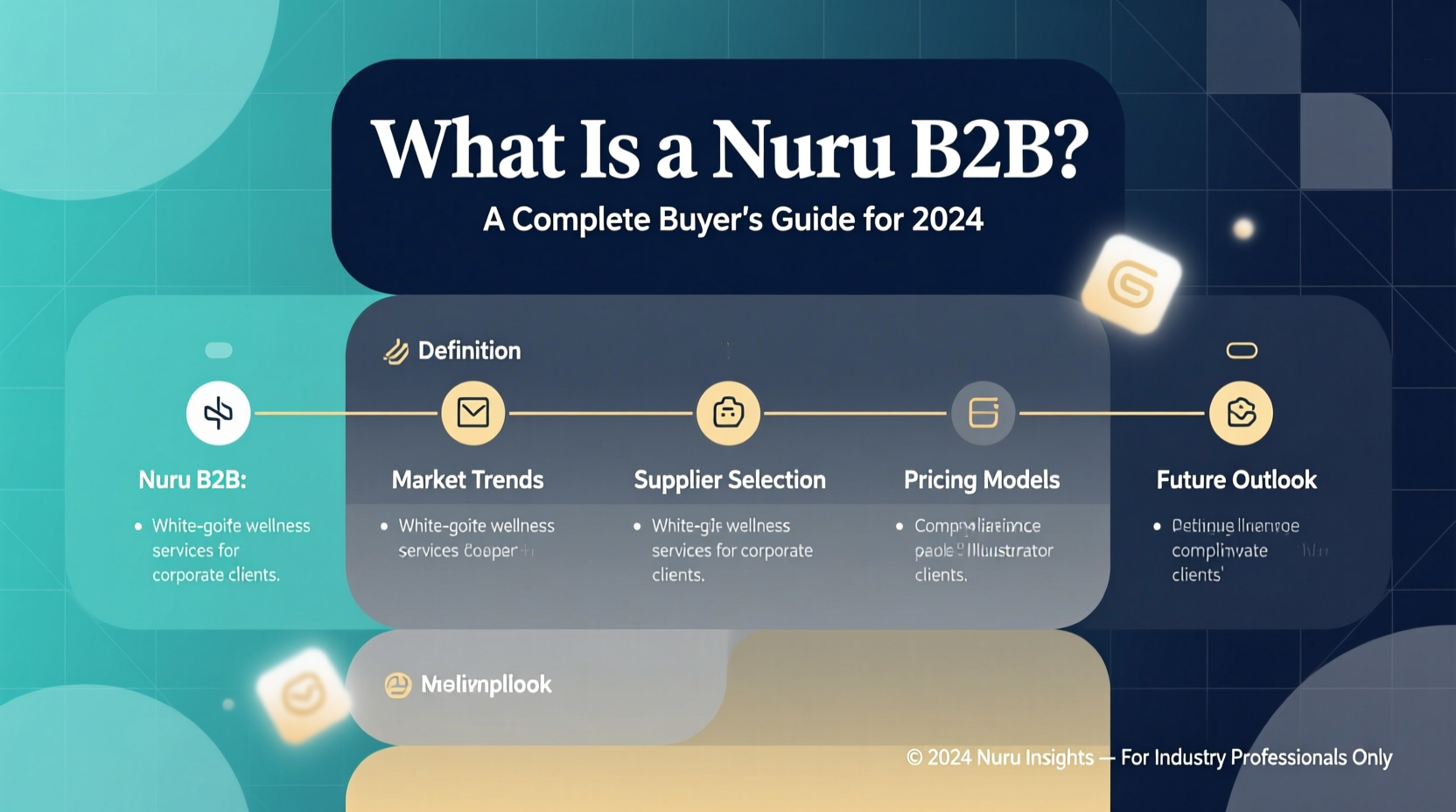 what is a nuru b2b