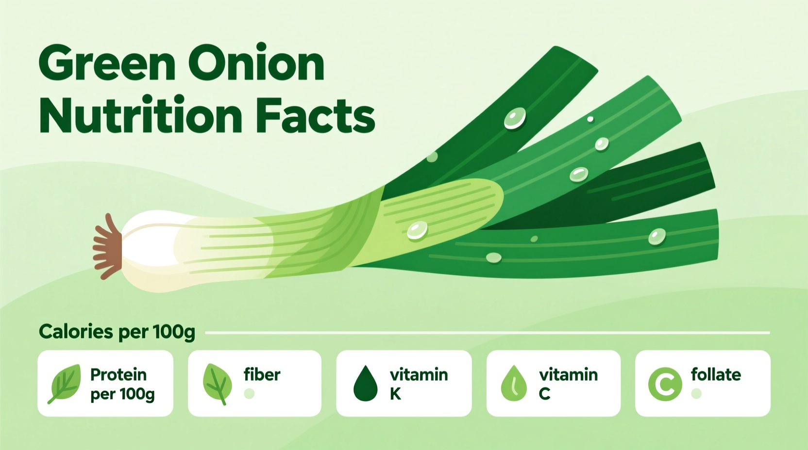 Green Onion Nutrition Facts: Complete Nutritional Profile