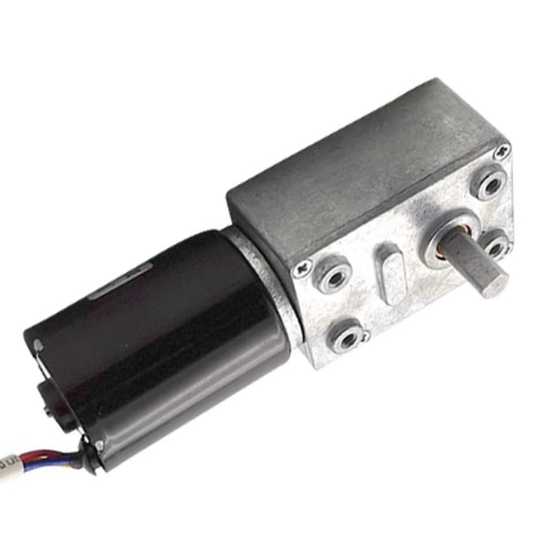 32mm brushless Worm Gear Motor 6v 12V 12 Volt 24v Reduction Gearbox Motor for vending machines