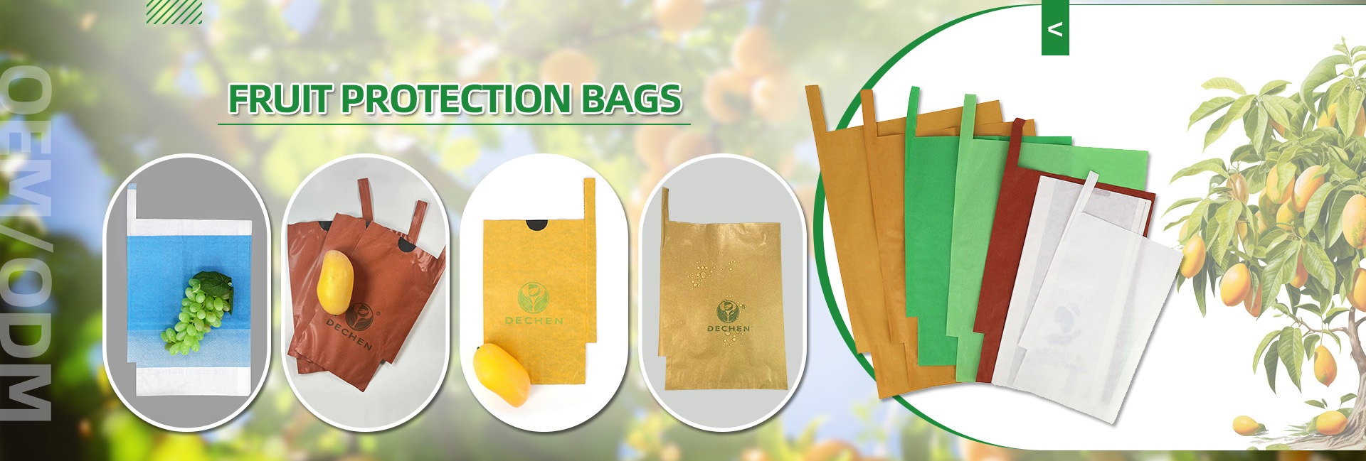 Tentang Kami - DECHEN PACK: Produsen Kemasan Makanan & Buah
