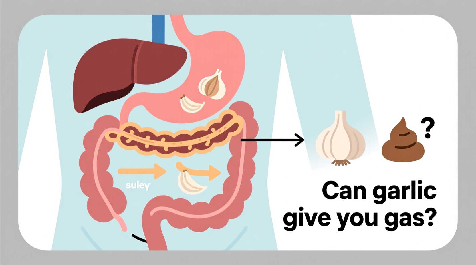 can garlic give you gas