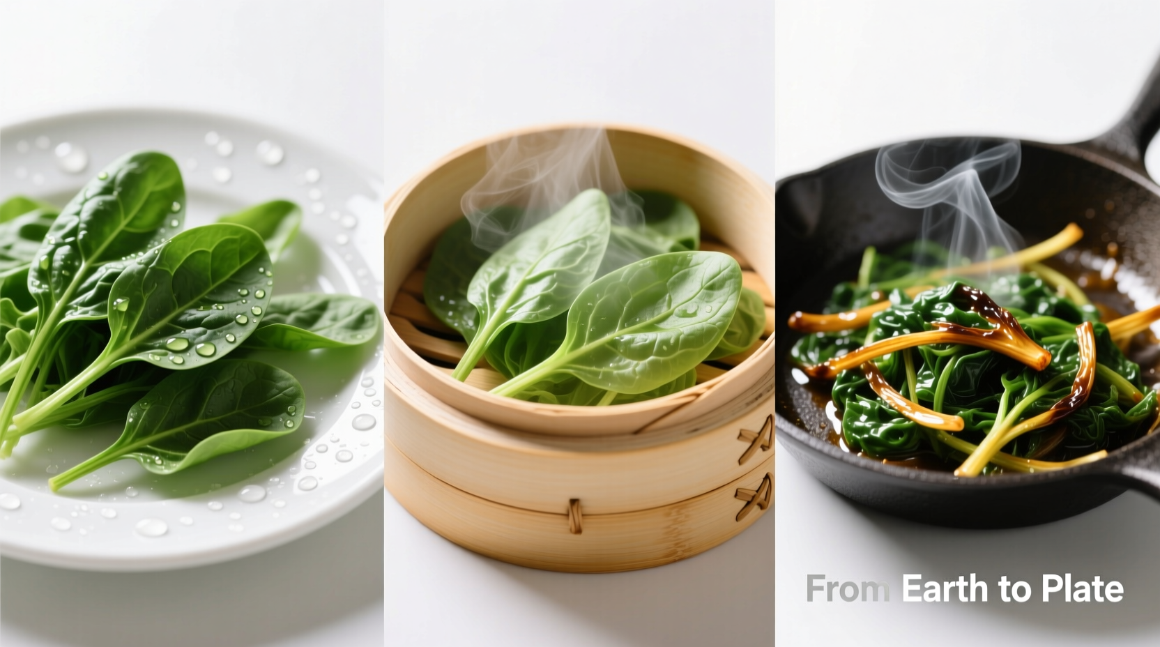 Spinach in three preparation stages: raw leaves, steaming basket, and sautéed in pan