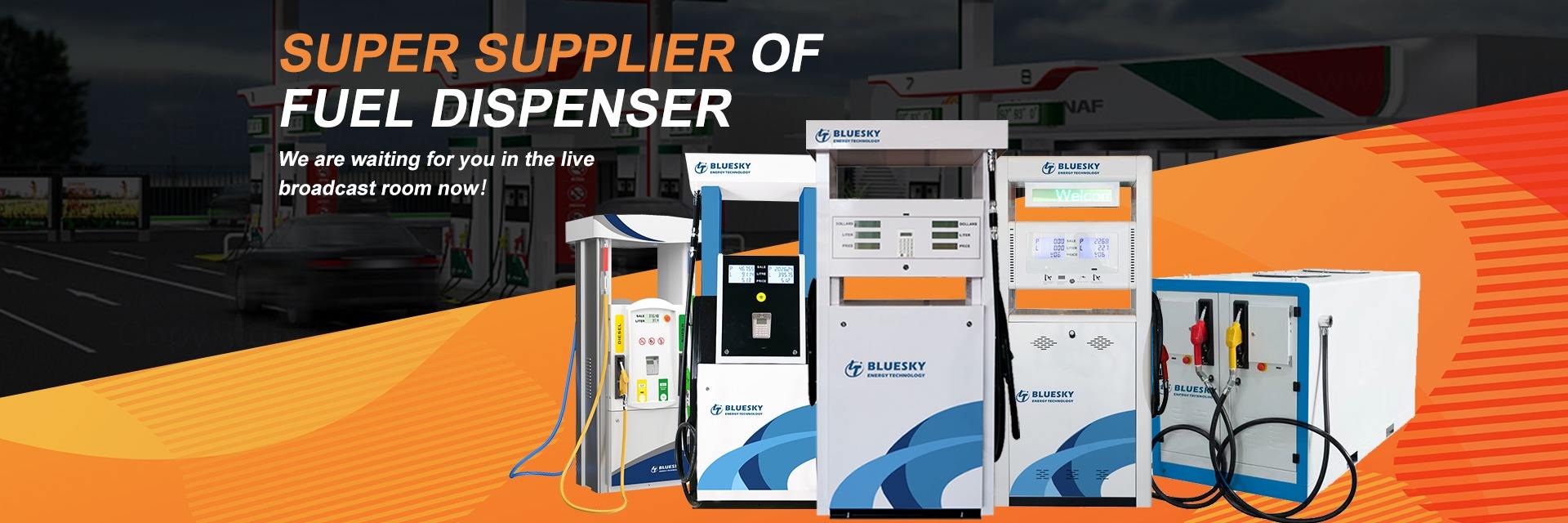 Company Overview - Wenzhou Bluesky Energy Technology Co., Ltd.