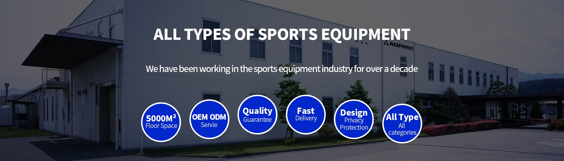 Company Overview Guangzhou Aopi Sports Equipment Co., Ltd.
