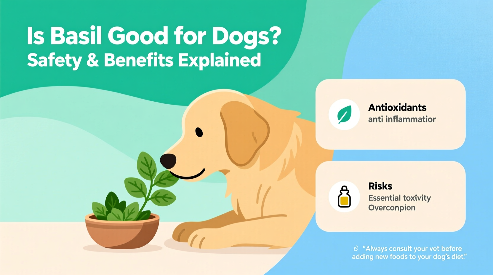 Is Basil Good for Dogs? Safety & Benefits Explained