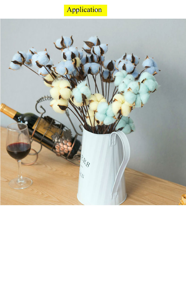 buy dried cotton flower,dried cotton flower with wire smem