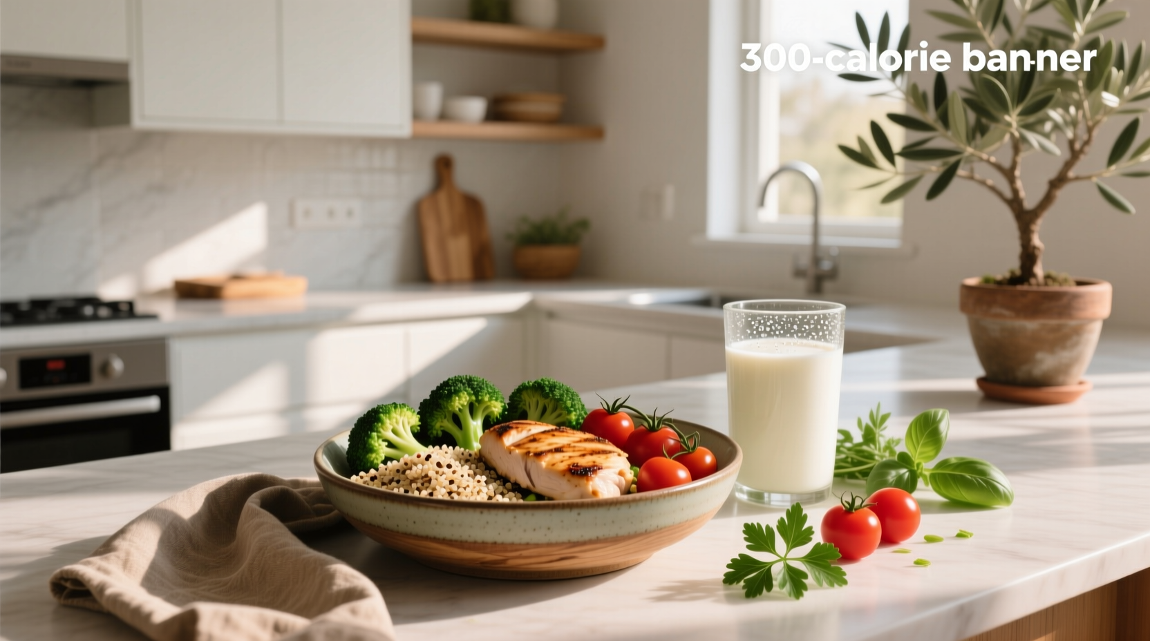 300 calorie high protein meals guide