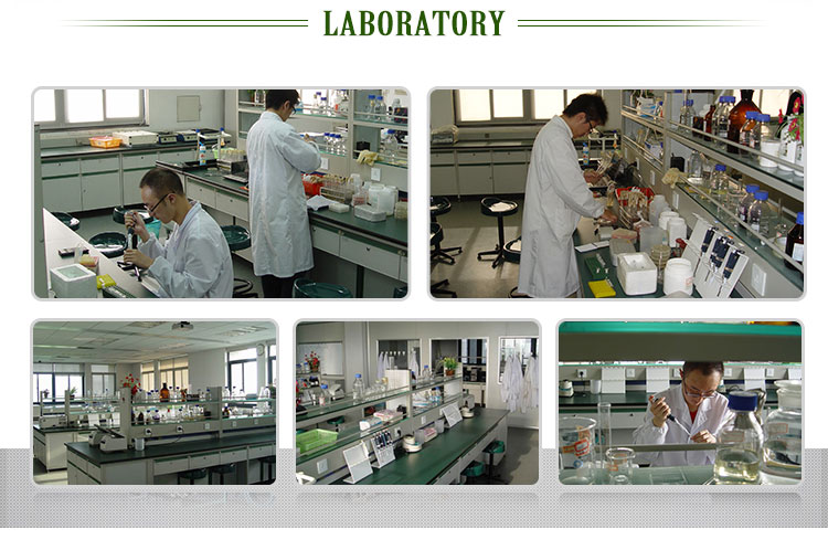 Organic Seaweed Extract Flake Fertilizer Ascophyllum Nodosum