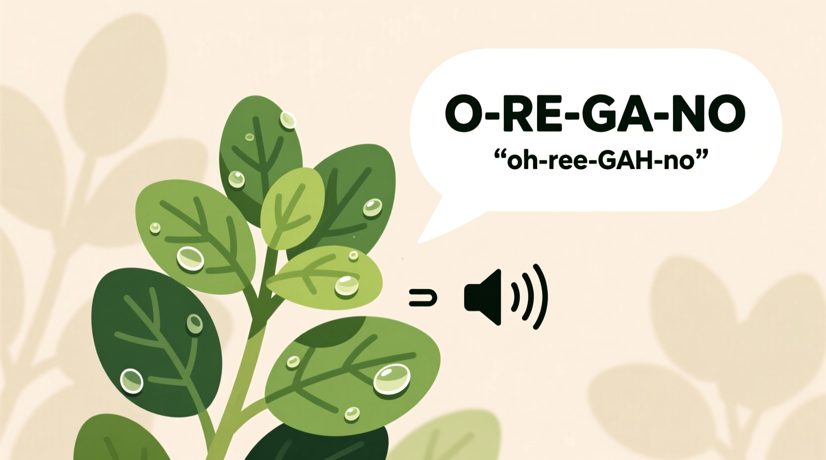 how do you pronounce oregano