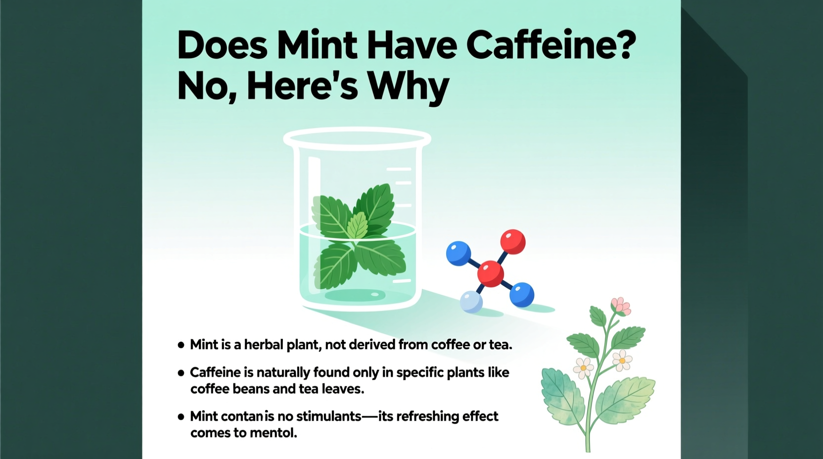 does mint have caffeine