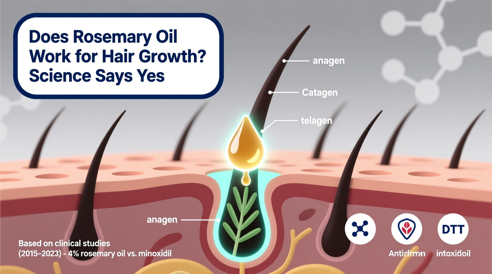 does rosemary oil work for hair growth