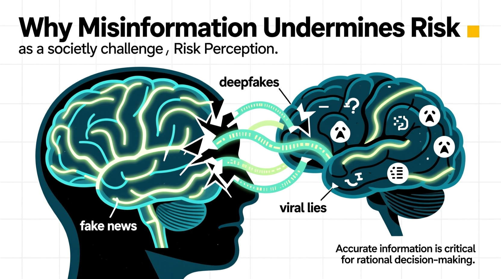 why is misinformation a problem understanding the risks
