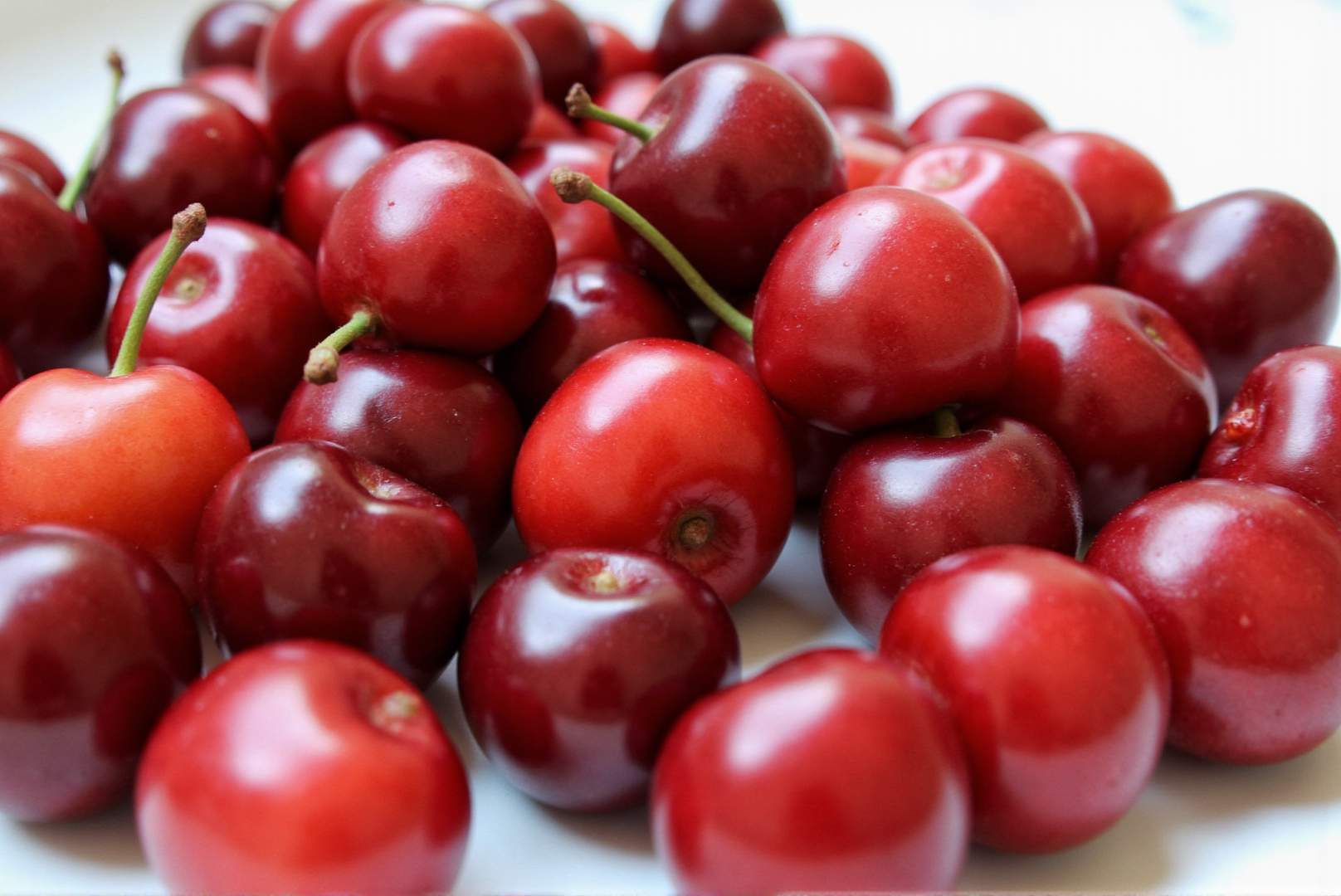 Can Dogs Eat Cherries?