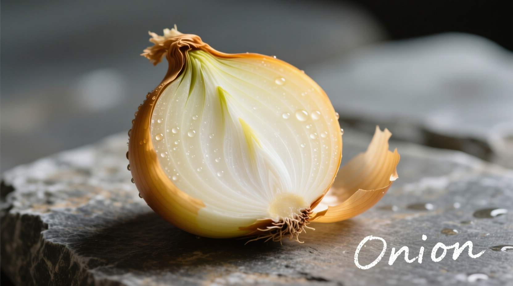 Onion Varieties Visual Guide: Identify Types by Appearance