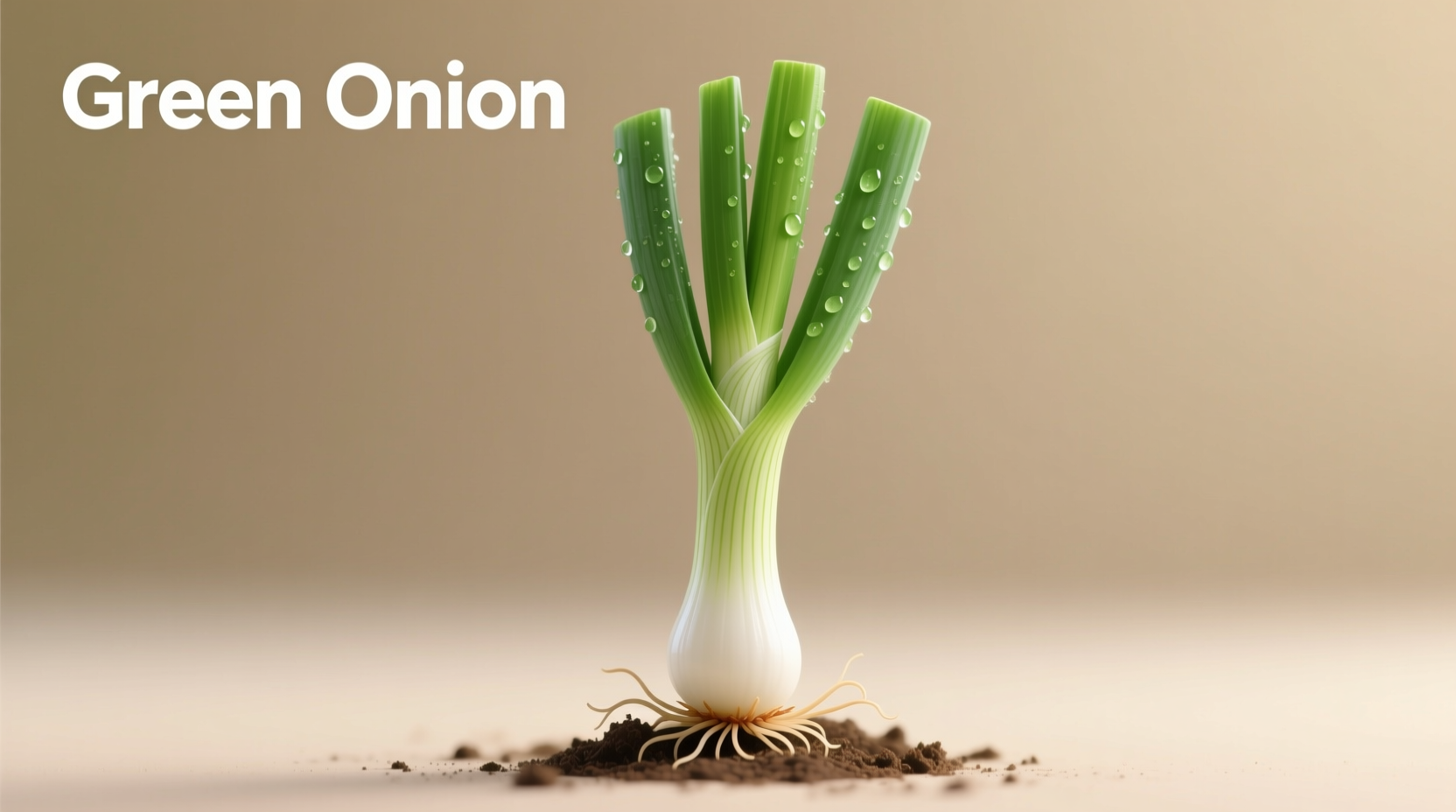 scallion v green onion