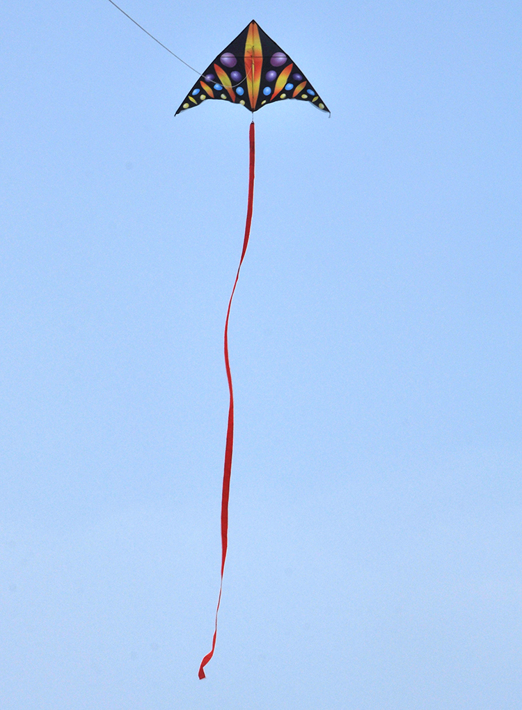 轻松飞行的彩色三角风筝 - buy kite,delta kite,flying kite product