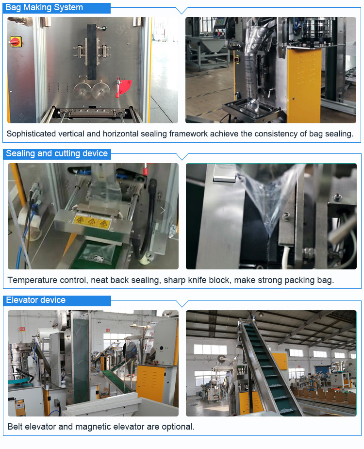 Automatic Nail Counting Packing Machine - Nail Packing Machine - 5