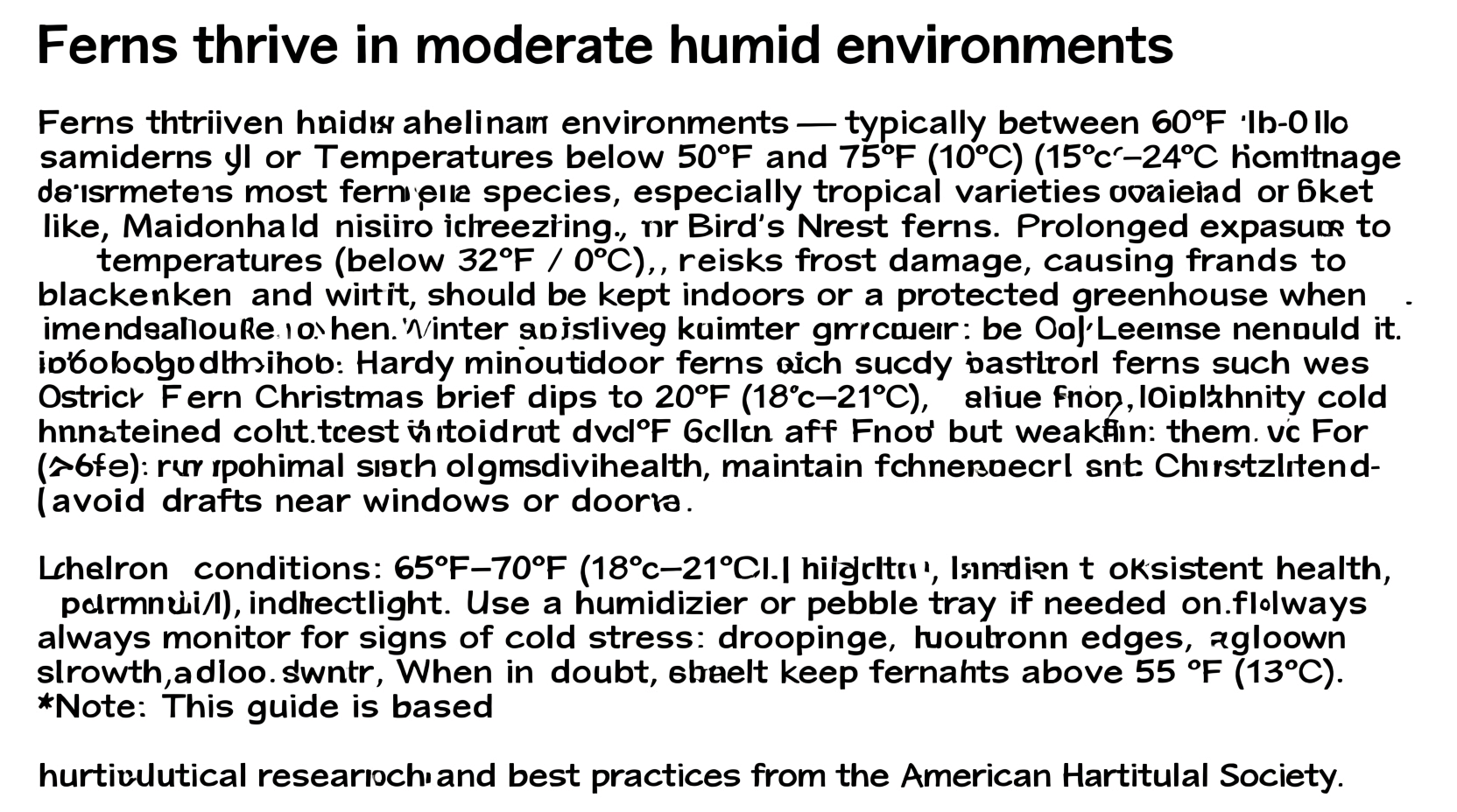 What Temp Is Too Cold for Ferns? Expert Guide
