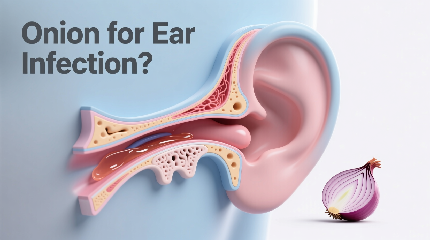 Onion for Ear Infection: Medical Facts & Risks